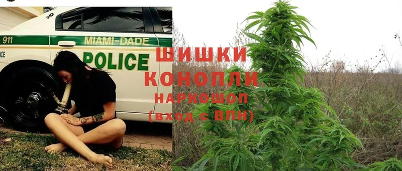 Шишки марихуана Ganja  Изобильный 